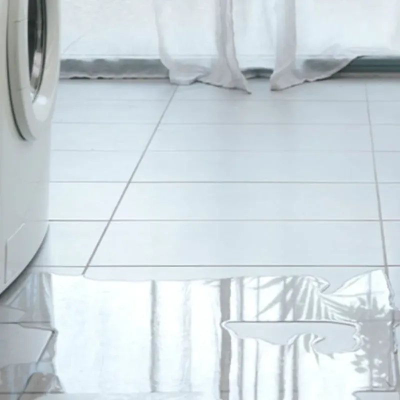 Appliance Leak Cleanup in Chatsworth, CA